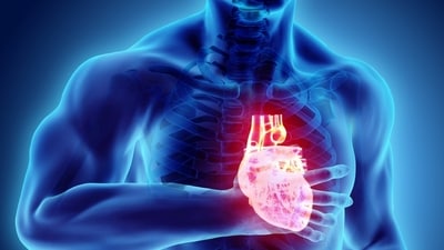 Research suggests South Indians are more vulnerable to heart disease. (Twitter/WebMD) Research suggests South Indians are more vulnerable to heart disease. (Twitter/WebMD)