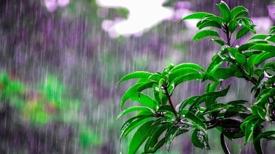 <p>ఇక తెలంగాణలో చూస్తే ఇవాళ పలుచోట్ల తేలికపాటి నుంచి ఒక మోస్తారు వర్షాలు పడొచ్చని హైదరాబాద్ వాతావరణ కేంద్రం తెలిపింది. ఎలాంటి హెచ్చరికలు లేవని పేర్కొంది. </p> 