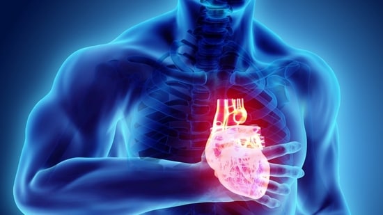 Research suggests South Indians are more vulnerable to heart disease. (Twitter/WebMD)