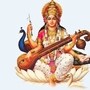 ২৩ না ২৪, কবে সরস্বতী পুজো