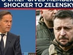 NATO Chief stuns Zelensky NATO Chief stuns Zelensky