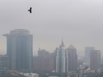Bengaluru weather: Bengaluru will experience mild and misty weather from 2nd December to 8th December. (PTI)