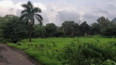 Chembur, Deonar urge CM to clear ‘green lung’ Chembur, Deonar urge CM to clear ‘green lung’