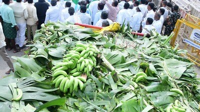 అరటి రైతుల సమస్యలు - కూటమి ప్రభుత్వంపై జగన్ ఫైర్ అరటి రైతుల సమస్యలు - కూటమి ప్రభుత్వంపై జగన్ ఫైర్