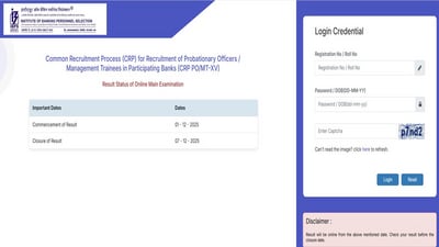 IBPS PO Mains Result 2025 declared at ibps.in, direct link to check results here IBPS PO Mains Result 2025 declared at ibps.in, direct link to check results here