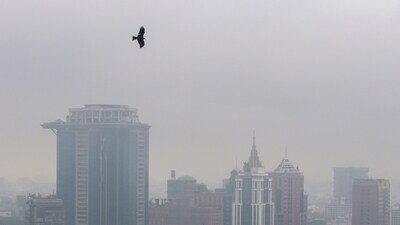 Bengaluru weather: Bengaluru will experience mild and misty weather from 2nd December to 8th December. (PTI) Bengaluru weather: Bengaluru will experience mild and misty weather from 2nd December to 8th December. (PTI)
