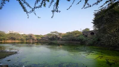 The DDA’s April 21 report had stated that there was no sewage contamination and that wastewater from the drain was being treated by the STP. (HT Archive) The DDA’s April 21 report had stated that there was no sewage contamination and that wastewater from the drain was being treated by the STP. (HT Archive)