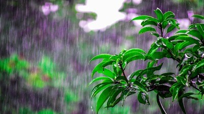 <p>కృష్ణా, ఎన్టీఆర్,గుంటూరు, బాపట్ల,పల్నాడు, ప్రకాశం,రాయలసీమ జిల్లాల్లో తేలికపాటి నుంచి మోస్తరు వర్షాలు కురిసే అవకాశం ఉంది.ప్రజలు అప్రమత్తంగా ఉండాలని ఏపీ విపత్తుల నిర్వహణ సంస్థ సూచించింది</p> <p>కృష్ణా, ఎన్టీఆర్,గుంటూరు, బాపట్ల,పల్నాడు, ప్రకాశం,రాయలసీమ జిల్లాల్లో తేలికపాటి నుంచి మోస్తరు వర్షాలు కురిసే అవకాశం ఉంది.ప్రజలు అప్రమత్తంగా ఉండాలని ఏపీ విపత్తుల నిర్వహణ సంస్థ సూచించింది</p>