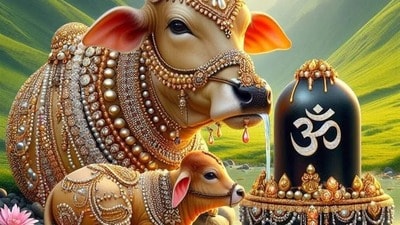 వాస్తు ప్రకారం ఈ విగ్రహాలను ఇంట్లో పెడితే అదృష్టం కలిసి వస్తుంది (pinterest) వాస్తు ప్రకారం ఈ విగ్రహాలను ఇంట్లో పెడితే అదృష్టం కలిసి వస్తుంది (pinterest)