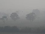 CPCB Chairperson said that industries have also been told to install air pollution control devices by December 31, failing which action will follow, CPCB Chairperson said that industries have also been told to install air pollution control devices by December 31, failing which action will follow,