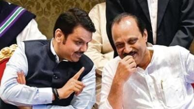Pawar backs citizens opposing tree felling for Kumbh