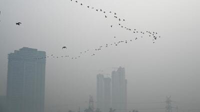 A thick layer of smog engulfs the skyline in Delhi NCR as the AQI slips to the ‘very poor’ category. (Sunil Ghosh/ HT Photo) A thick layer of smog engulfs the skyline in Delhi NCR as the AQI slips to the ‘very poor’ category. (Sunil Ghosh/ HT Photo)
