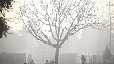 Delhi breathed 24 straight days of “very poor” or worse air between November 6 and 29, when the air quality index (AQI) stayed above 300. The Capital also clocked three days of “severe” AQI, from November 11 to 13, in this time. (Sanchit Khanna/HT) Delhi breathed 24 straight days of “very poor” or worse air between November 6 and 29, when the air quality index (AQI) stayed above 300. The Capital also clocked three days of “severe” AQI, from November 11 to 13, in this time. (Sanchit Khanna/HT)
