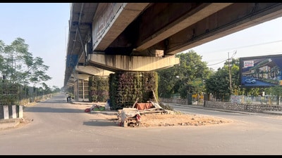 Sidhwan canal road near BRS Nagar in Ludhiana. (HT Photo) Sidhwan canal road near BRS Nagar in Ludhiana. (HT Photo)