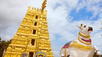 శ్రీశైలం మల్లన్న