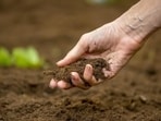Before it’s too late, let’s pause this World Soil Day. Pick up a handful of soil. Feel its texture. Smell its fragrance. Recognise its life. Before it’s too late, let’s pause this World Soil Day. Pick up a handful of soil. Feel its texture. Smell its fragrance. Recognise its life.
