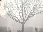 Delhi breathed 24 straight days of “very poor” or worse air between November 6 and 29, when the air quality index (AQI) stayed above 300. The Capital also clocked three days of “severe” AQI, from November 11 to 13, in this time. (Sanchit Khanna/HT)