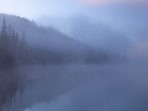 California dense fog advisories: Travelers warned of ‘high transportation risk'