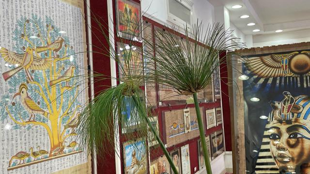 Papyrus reeds in the foreground (Veidehi Gite) Papyrus reeds in the foreground (Veidehi Gite)