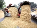 Workers winnow paddy in Amritsar. (ANI File)