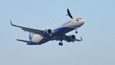 IndiGo CEO Peter Elbers said the operations would be restored between December 10 to December 15. (REUTERS)