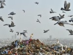 Ghazipur landfill site in 2018. (PTI) Ghazipur landfill site in 2018. (PTI)