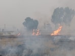 Smoke rises from the burning stubble in a Punjab crop field last month. (REUTERS) Smoke rises from the burning stubble in a Punjab crop field last month. (REUTERS)