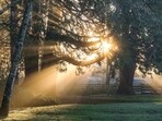 Exposure to sunlight increases vitamin D production by the body. Exposure to sunlight increases vitamin D production by the body.