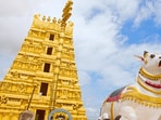శ్రీశైలం మల్లన్న బ్రహ్మోత్సవాలు