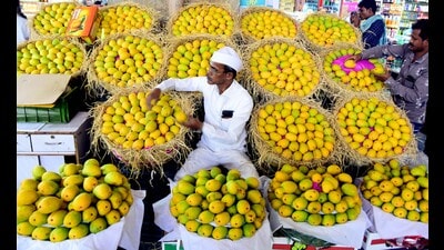In 2023-24, India exported over 30,000 metric tonnes of mangoes worth $60 million, much of it Alphonso. (HT Archive)