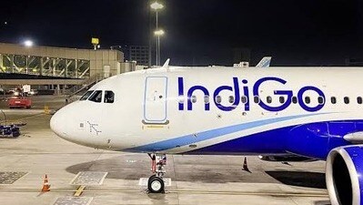 ఇండిగో ఇండిగో