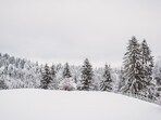 US winter storm warnings: Urgent alerts issued for Alaska, Colorado, Illinois and other states US winter storm warnings: Urgent alerts issued for Alaska, Colorado, Illinois and other states