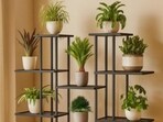 Chic pot ideas to transform small balconies into vibrant spaces.