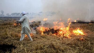 On some days, the peak daily contribution from stubble burning to Delhi’s PM 2.5 can go up to 35-45%. (PTI) On some days, the peak daily contribution from stubble burning to Delhi’s PM 2.5 can go up to 35-45%. (PTI)