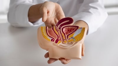 Early detection of colon polyps is key to preventing cancer, says Dr Salhab. (Freepik) Early detection of colon polyps is key to preventing cancer, says Dr Salhab. (Freepik)