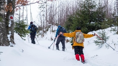 Don't let your snowy adventures turn into health mishaps. (Picture credit: Freepik) Don't let your snowy adventures turn into health mishaps. (Picture credit: Freepik)