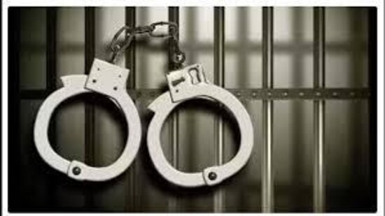 An examination of the traveller's trolley bag found nine polythene pouches containing a "moist green substance suspected to be ganja or marijuana."(HT Photo for representation) (HT_PRINT)