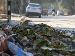 Piles of garbage along the main road of Sector-21 near pocket-C. (Parveen Kumar/HT Photo) Piles of garbage along the main road of Sector-21 near pocket-C. (Parveen Kumar/HT Photo)