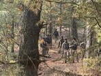 Security personnel conducting searches in the Hutmurah forest area as part of the investigation linked to the Delhi blast case, in Anantnag district on Tuesday. (PTI Photo) Security personnel conducting searches in the Hutmurah forest area as part of the investigation linked to the Delhi blast case, in Anantnag district on Tuesday. (PTI Photo)