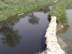 Sewage from Haryana’s Diversion Drain No. 6 (above) is spilling into Diversion Drain No. 8, which carries water that is treated in Delhi and supplied for drinking. (HT Photo)