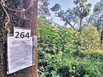 The plan to axe around 740 trees in exchange for a world-class mental health facility in Thane has taken a political turn, with the local arm of the Nationalist Congress Party (SP) opposing the move. ( Praful Gangurde / HT Photo) (PRAFUL GANGURDE)