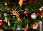 Festive lights and lively church celebrations make Christmas magical across India.(Pexels)