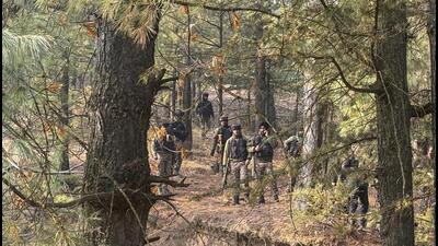 Security personnel conducting searches in the Hutmurah forest area as part of the investigation linked to the Delhi blast case, in Anantnag district on Tuesday. (PTI Photo)