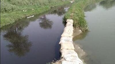 Sewage from Haryana’s Diversion Drain No. 6 (above) is spilling into Diversion Drain No. 8, which carries water that is treated in Delhi and supplied for drinking. (HT Photo) Sewage from Haryana’s Diversion Drain No. 6 (above) is spilling into Diversion Drain No. 8, which carries water that is treated in Delhi and supplied for drinking. (HT Photo)