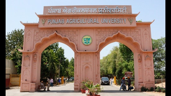Farmers who have turned entrepreneurs have hailed the School of Business Studies at Punjab Agricultural University. (HT Photo)