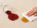 Tips and tricks on how to remove stains from carpets to make sure they look squeaky clean!(Ai Generated)