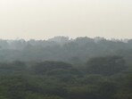 The importance of the Delhi Ridge — including the Morphological Ridge — can’t be overstated. Apart from its ecological value in terms of biodiversity, it filters out toxic pollutants from Delhi’s air to a considerable extent. (HT Archive) The importance of the Delhi Ridge — including the Morphological Ridge — can’t be overstated. Apart from its ecological value in terms of biodiversity, it filters out toxic pollutants from Delhi’s air to a considerable extent. (HT Archive)