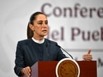Mexico's President Claudia Sheinbaum speaks during a press conference in November 