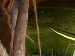 A scaffolding of poles and ropes can be spotted in certain parts of the baoli. (HT Photo)
