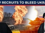 Russia has denied reports claiming it is recruiting Iranian men to fight in the Ukraine war, after a flyer offering lucrative military contracts went viral on Iranian social media. Russia has denied reports claiming it is recruiting Iranian men to fight in the Ukraine war, after a flyer offering lucrative military contracts went viral on Iranian social media.
